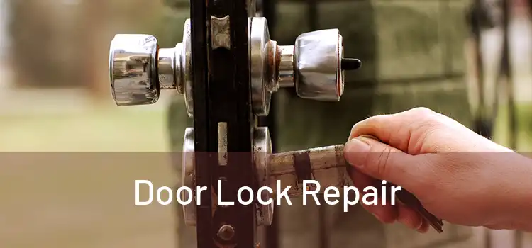Door Lock Repair