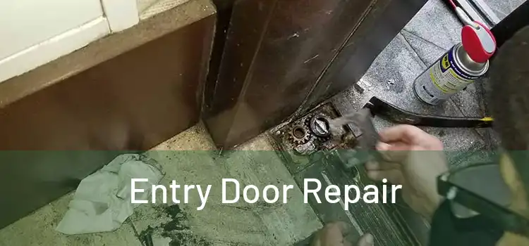 Entry Door Repair